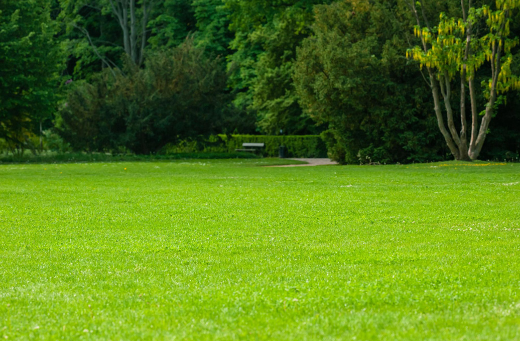 efficientlawn8